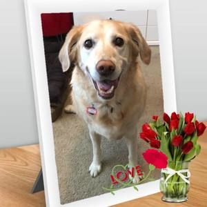 Meet your Posher, Karissa